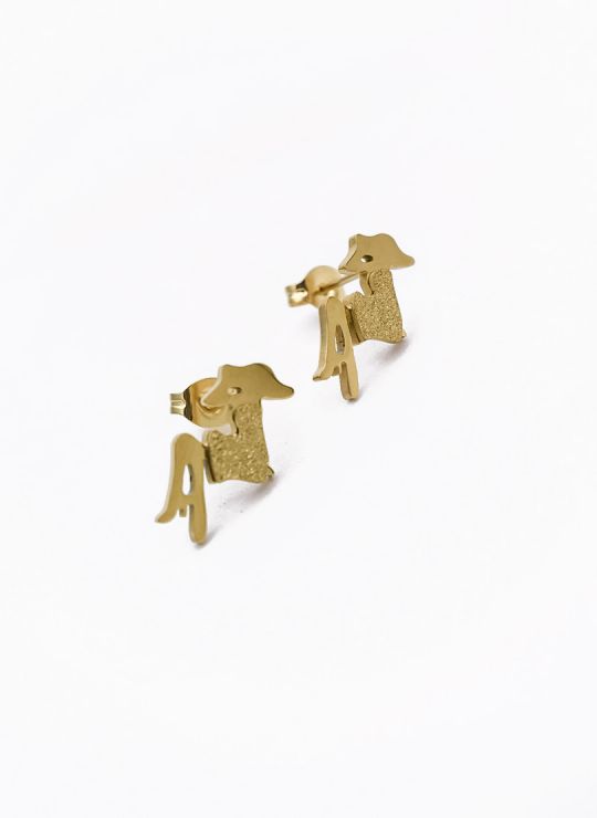 ARETES MEDIANOS  EN ACERO INOXIDABLE  316L DISEÑO  ORIGINAL FRAMBUESA 2022 GARANTIZADOS