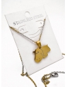 SET DE COLLAR, DIJE EN ACERO INOXIDABLE 316L  INCLUYE CADENA FRAMBUESA 