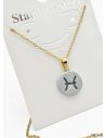 SET DE COLLAR ZODIACO, DIJE EN ACERO INOXIDABLE 316L