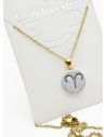 SET DE COLLAR ZODIACO, DIJE EN ACERO INOXIDABLE 316L