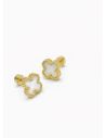 ARETES EN ACERO INOXIDABLE  316L/ANTIALERGICO