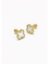 ARETES EN ACERO INOXIDABLE  316L/ANTIALERGICO