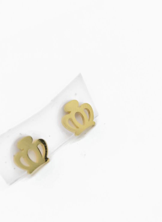 ARETES EN ACERO INOXIDABLE  316L/ANTIALERGICO