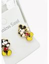 ARETES EN ACERO INOXIDABLE  316L/ANTIALERGICO